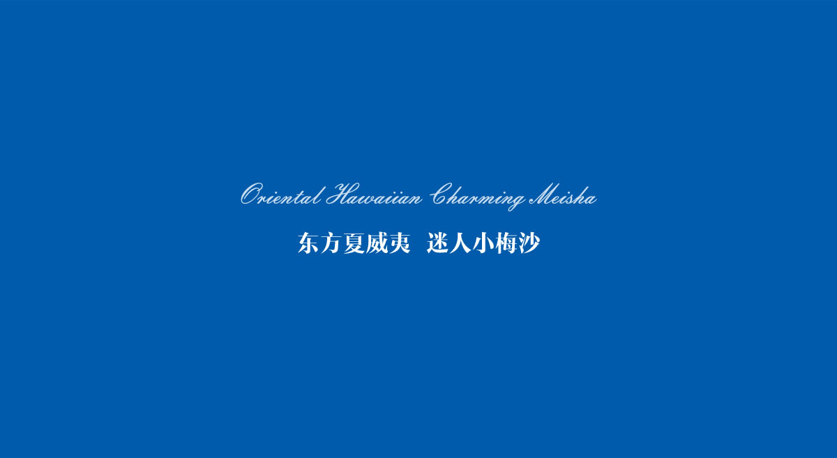 小梅沙品牌畫(huà)冊(cè)策劃設(shè)計(jì)_全力設(shè)計(jì)